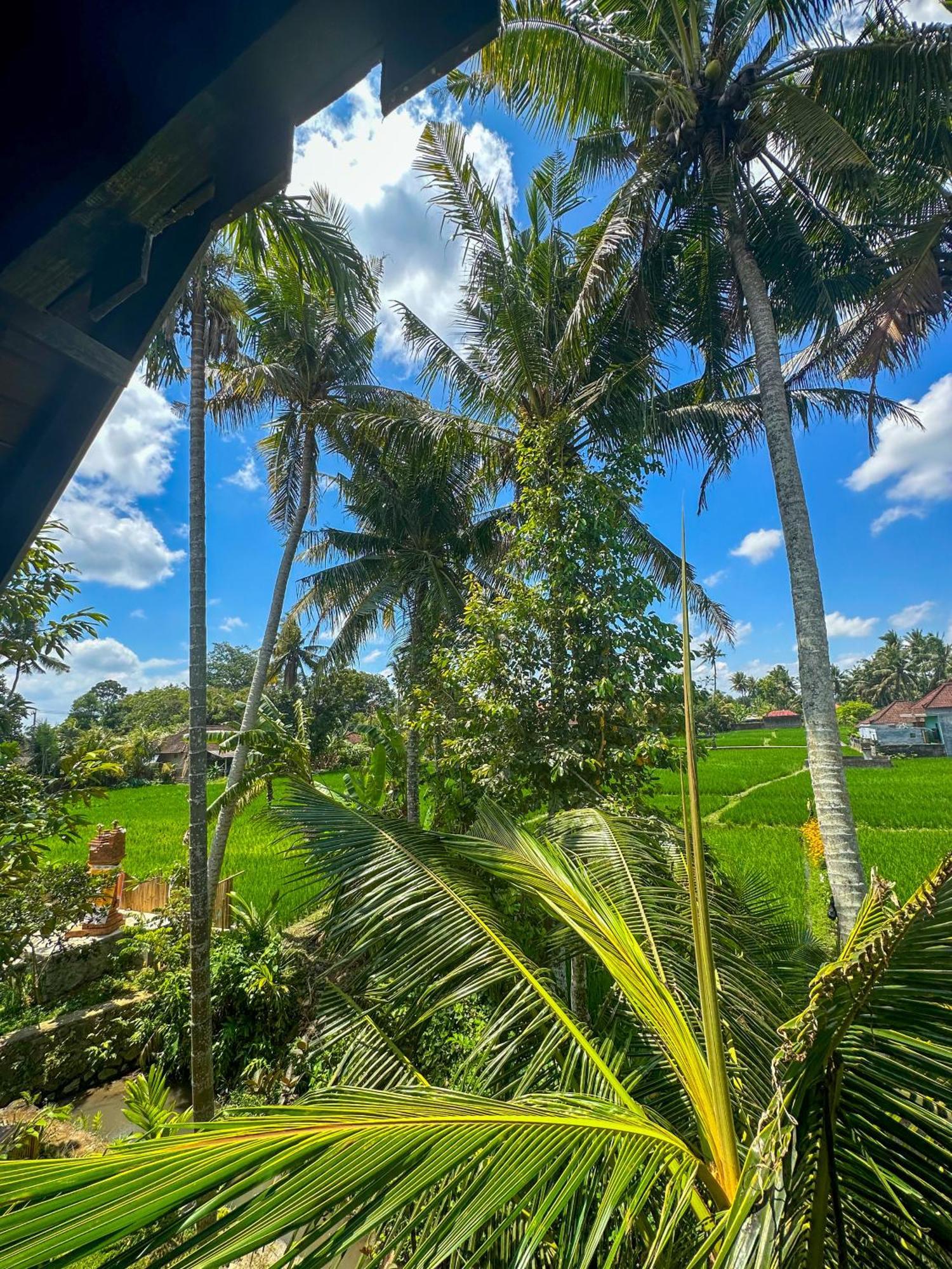 فندق Nunu Bali Eco Friendly Retreat تْشانغو المظهر الخارجي الصورة