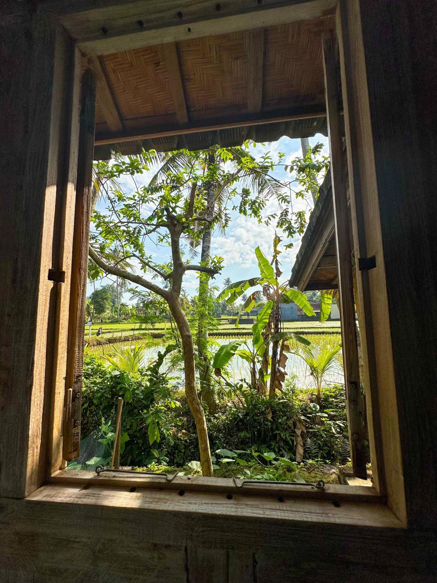 فندق Nunu Bali Eco Friendly Retreat تْشانغو المظهر الخارجي الصورة