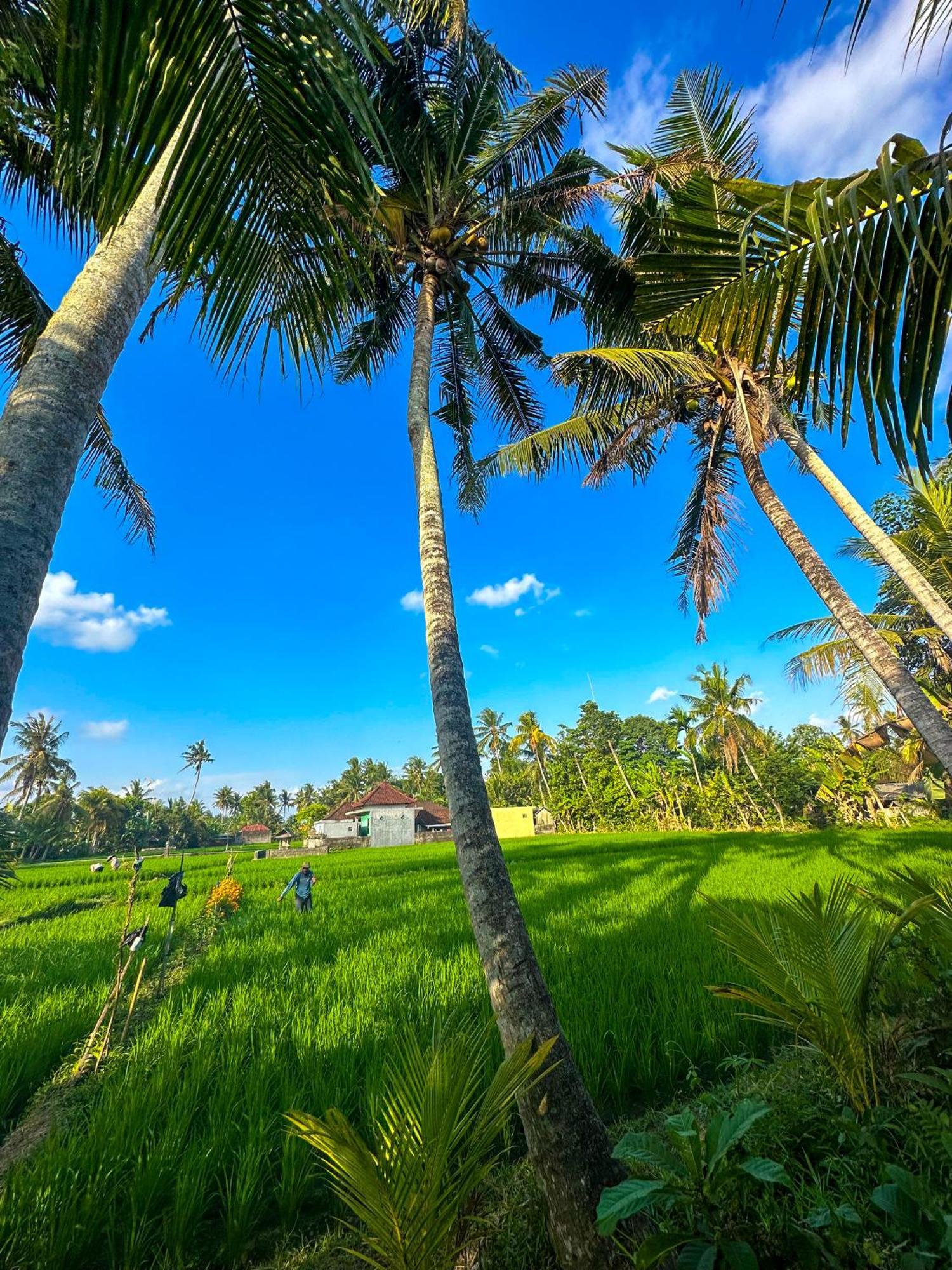 فندق Nunu Bali Eco Friendly Retreat تْشانغو المظهر الخارجي الصورة